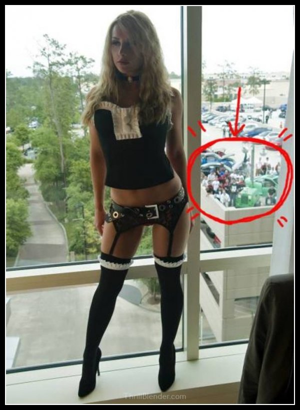 funny-pictures-daily10d